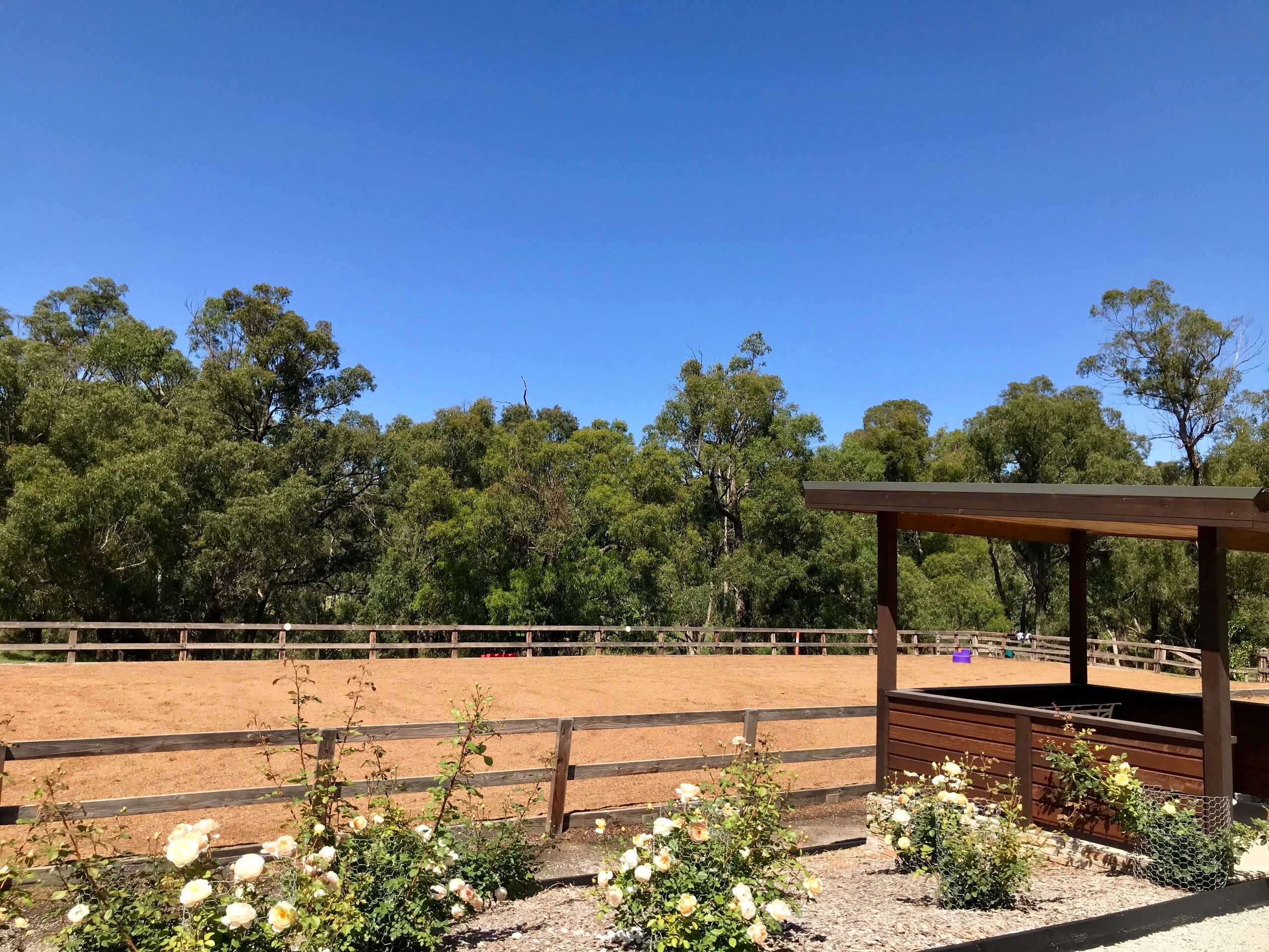 Valley Horse Agistment Home