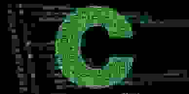 image295