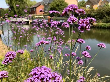 A summers view of the canal running along the bottom of the Beer Garden