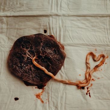 Placenta Encapsulation