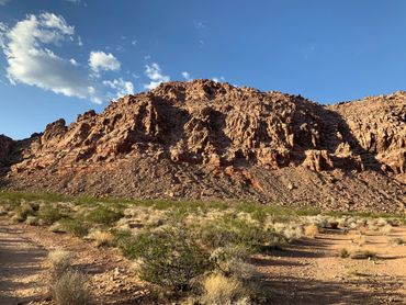 Desert view of mountain in Calico Basein, Nevada