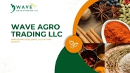 WAVE AGRO TRADING