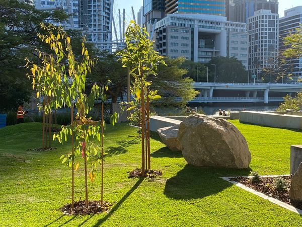 The Gallery Of Modern Art Parkland Brisbane 
The Big Hose landscape project