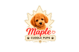 Maple Cuddle Pups