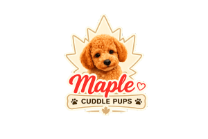 Maple Cuddle Pups
