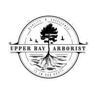 Upper Bay Arborist