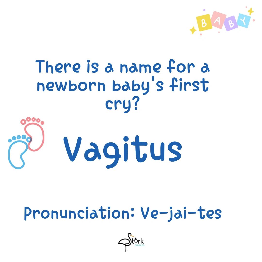 Name given to a baby's first cry. Vagitus. Newborn baby's cry. crying baby. Stork Bundles 