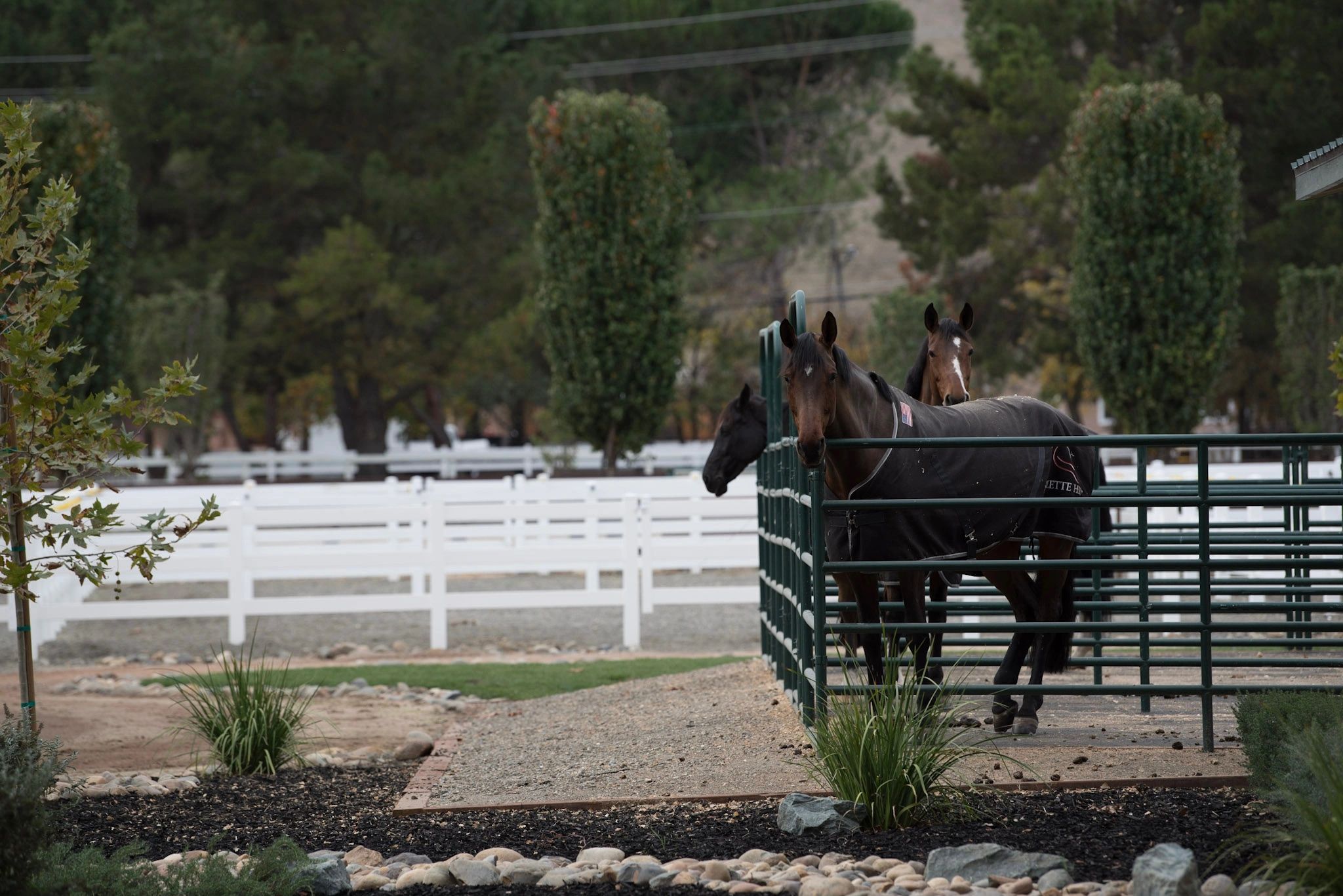 Iron Horse Equestrian Center