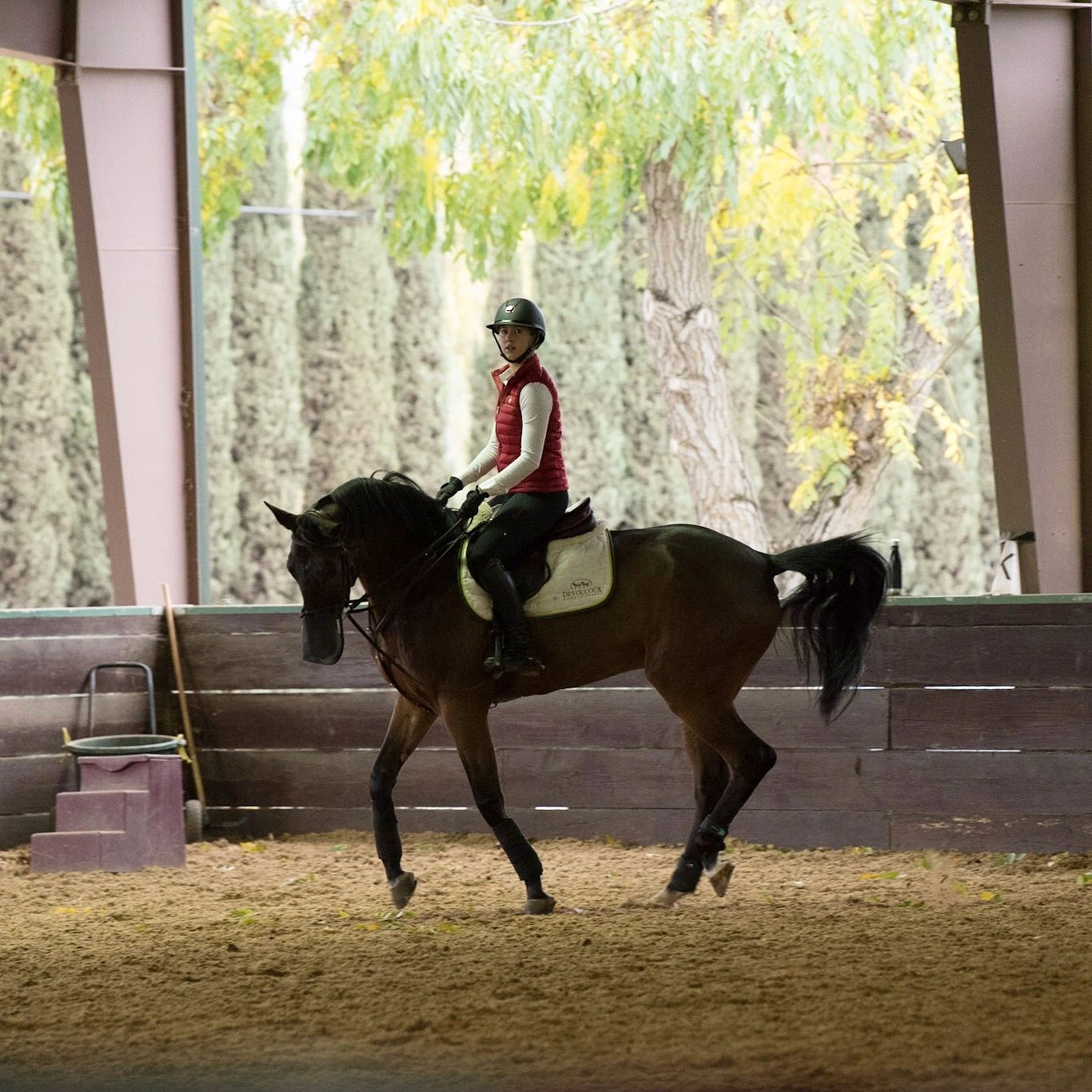 Iron Horse Equestrian Center
