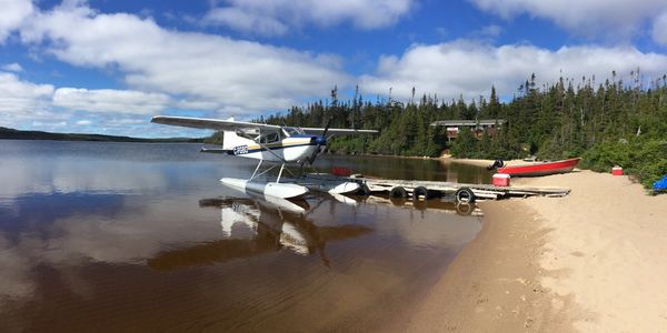 #moose #hunting #newfoundland #floatplane #guide #wildlife  #outdoors #nature #moosehunting #hunt