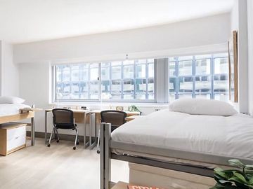 Bright, minimalist dorm room with two desks and beds by large windows.