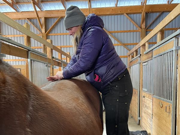 Hands-on, safe, effective approach for many performance and movement problems. Animal chiropractic c