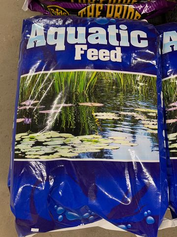 Fish Food