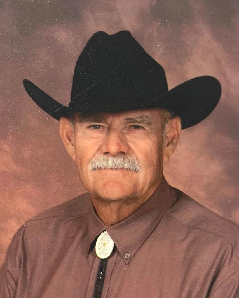 Easy Lemon Blueberry Dessert with Puff Pastry Crust, image size:819x1024