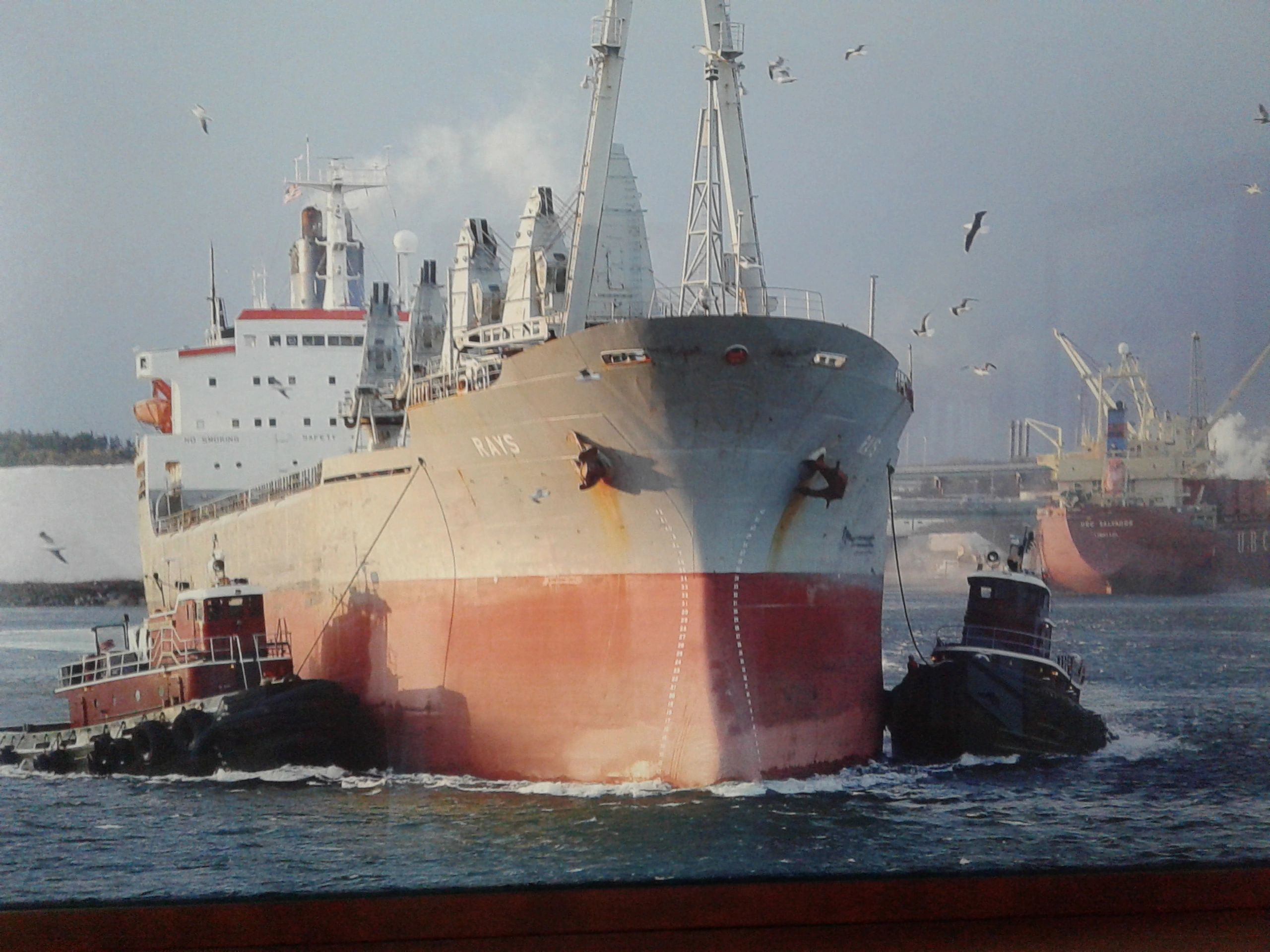 North Harbour Shipping Cargo and Freight