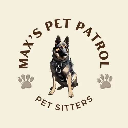 Top Pet Sitting Companies in Town