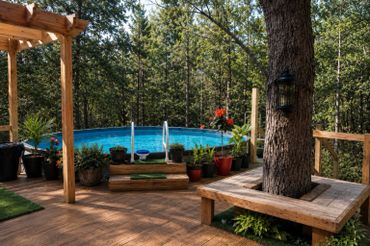A serene backyard with a pool surrounded by trees and plants.