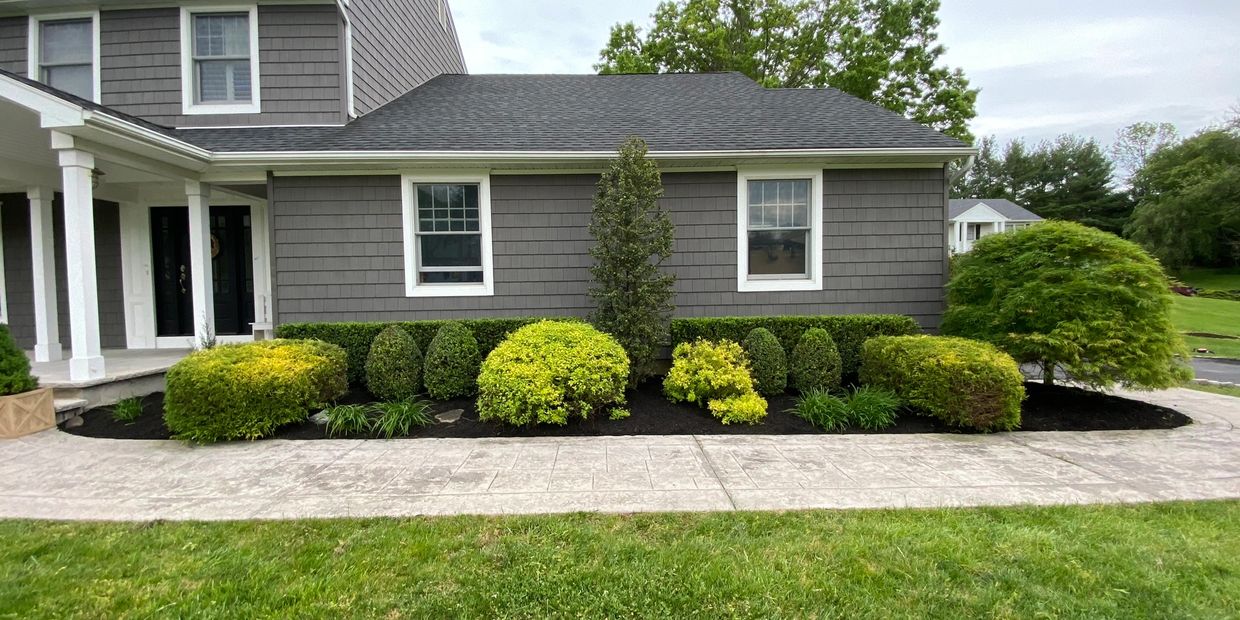 front house with freshly trimmed bushes and freshly applied mulch