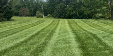Green grass field with mowing stripes.