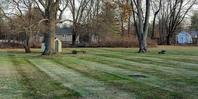 A striped grassy yard with trees and a small shed.