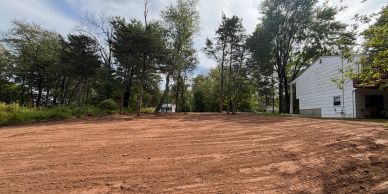 Cleared dirt yard near white house surrounded by trees.