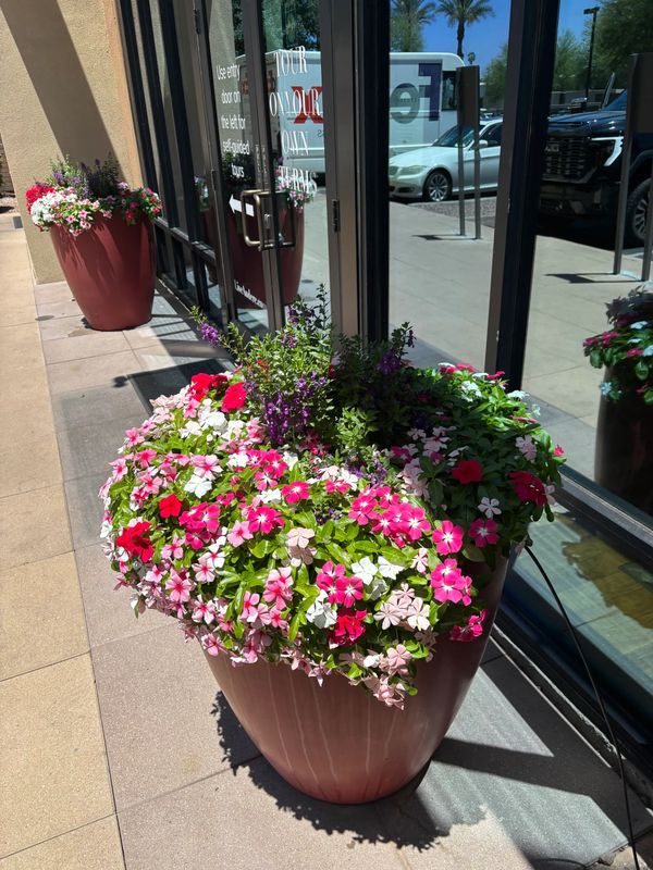 Large planter with vibrant pink, white, and purple flowers outside a glass door.
