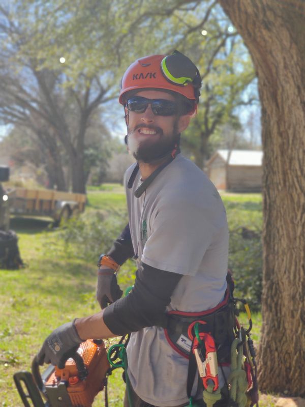 Marquez Tree Care Tree Service, Tree Care Removal