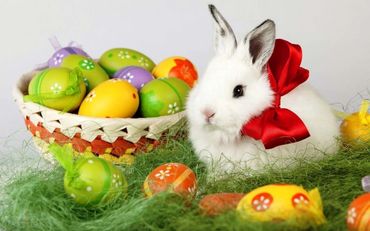 EGG HUNTS: Top Easter Bunnies for Hire Indiana. Hire Easter Bunny Chicago for Passover celebration 