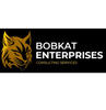 The Bob Kat