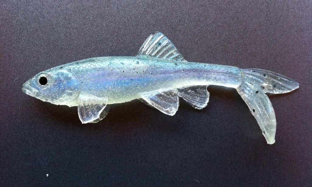 All American Trash Fish
