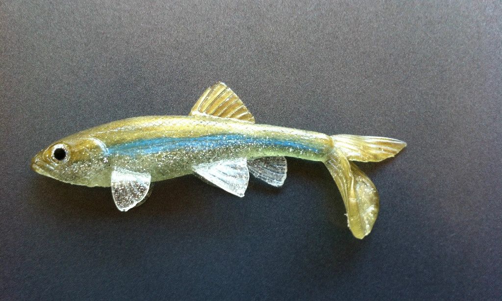 All American Trash Fish