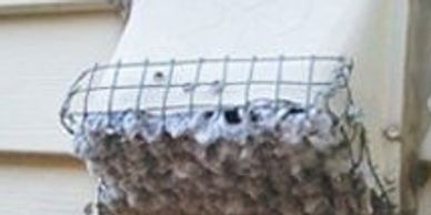 Dryer vent cleaning