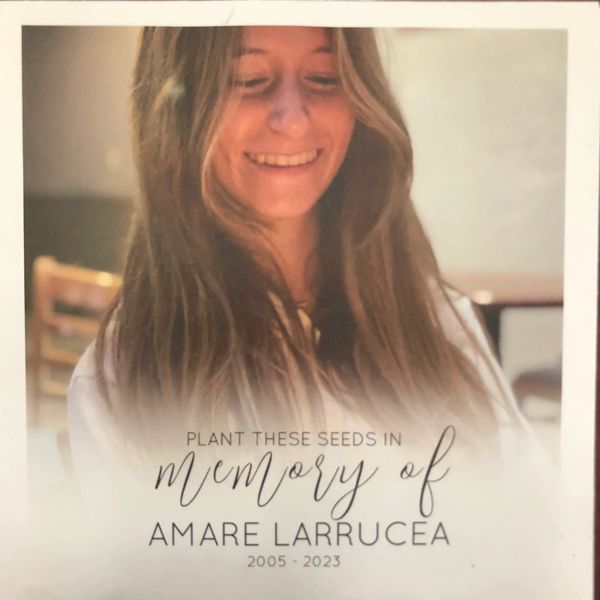 Memorial image of Amare Larrucea with a smiling portrait and dates 2005-2023.