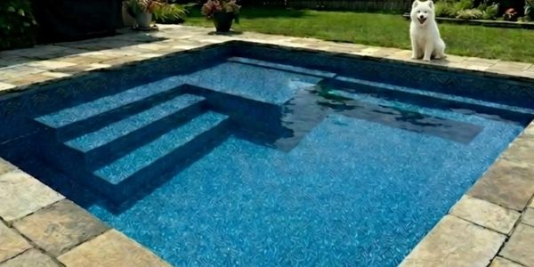 A small pool with steps and a white dog sitting on the stone edge.