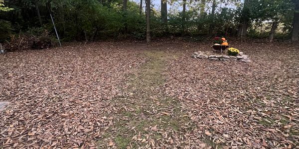 A grassy path through fallen autumn leaves leads to a small flower and pumpkin display.