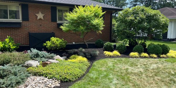 Well-maintained front yard with diverse shrubs and a small tree near a brick house.