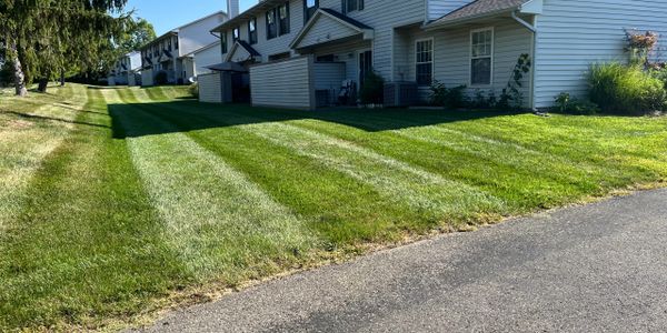 Well-maintained striped lawns beside residential houses on a sunny day.