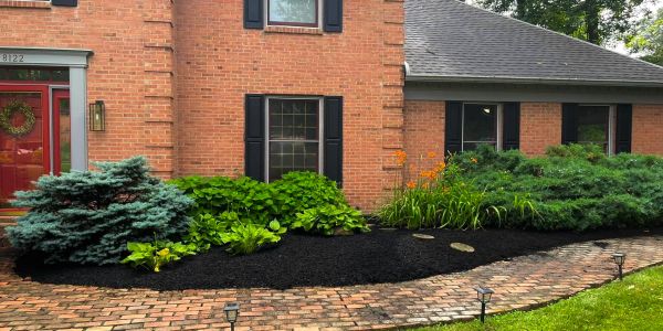Well-maintained garden with lush greenery and fresh mulch outside a brick house.