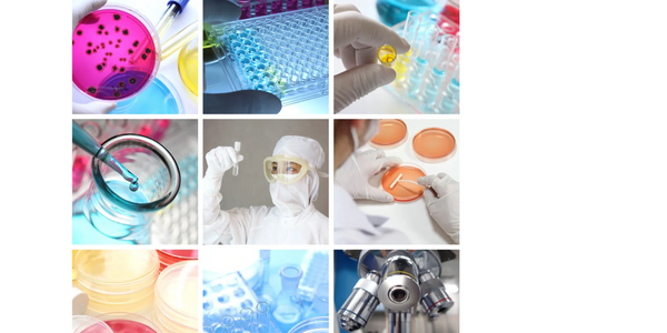 Guide due diligence, private equity readiness, and expansion strategy