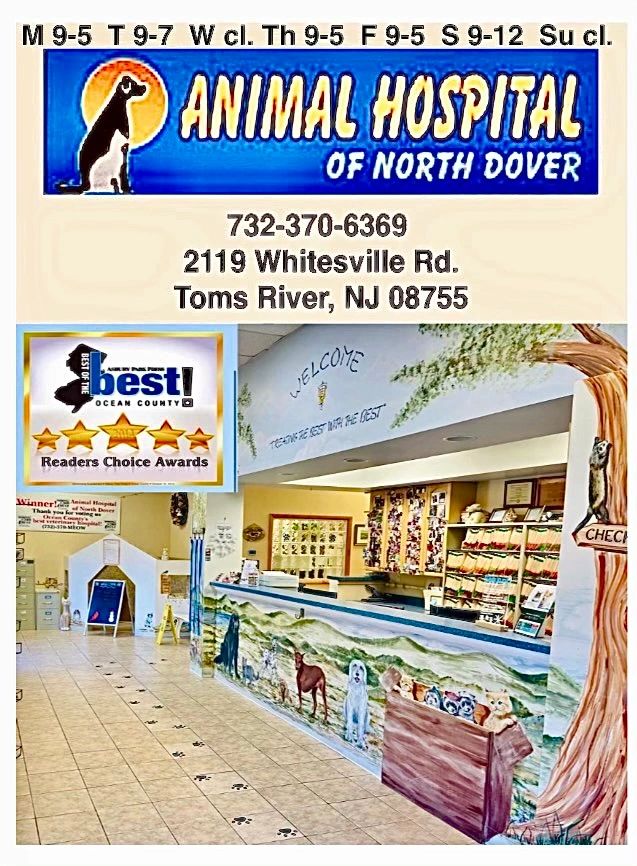 Animal Hospital of North Dover - Toms River, NJ