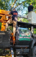 Goff's Tree Service