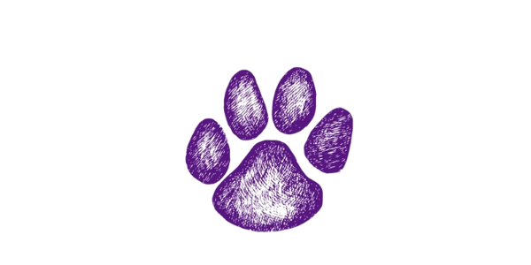  We provide all services for dogs and cats 
Our services are designed to reduce the stress