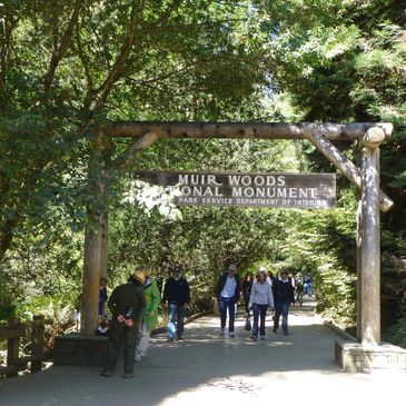 Muir Woods tour San Francisco bike rental