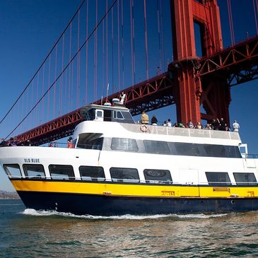 San Francisco Bay cruise tour - San Francisco bike rental