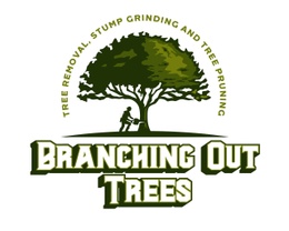 Branching out trees Sunshine Coast