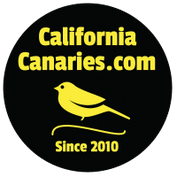 California Canaries