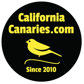 California Canaries