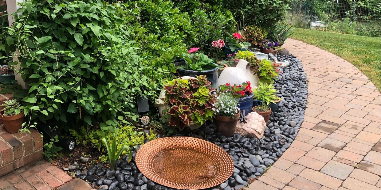 Melanie's Garden Photo 1