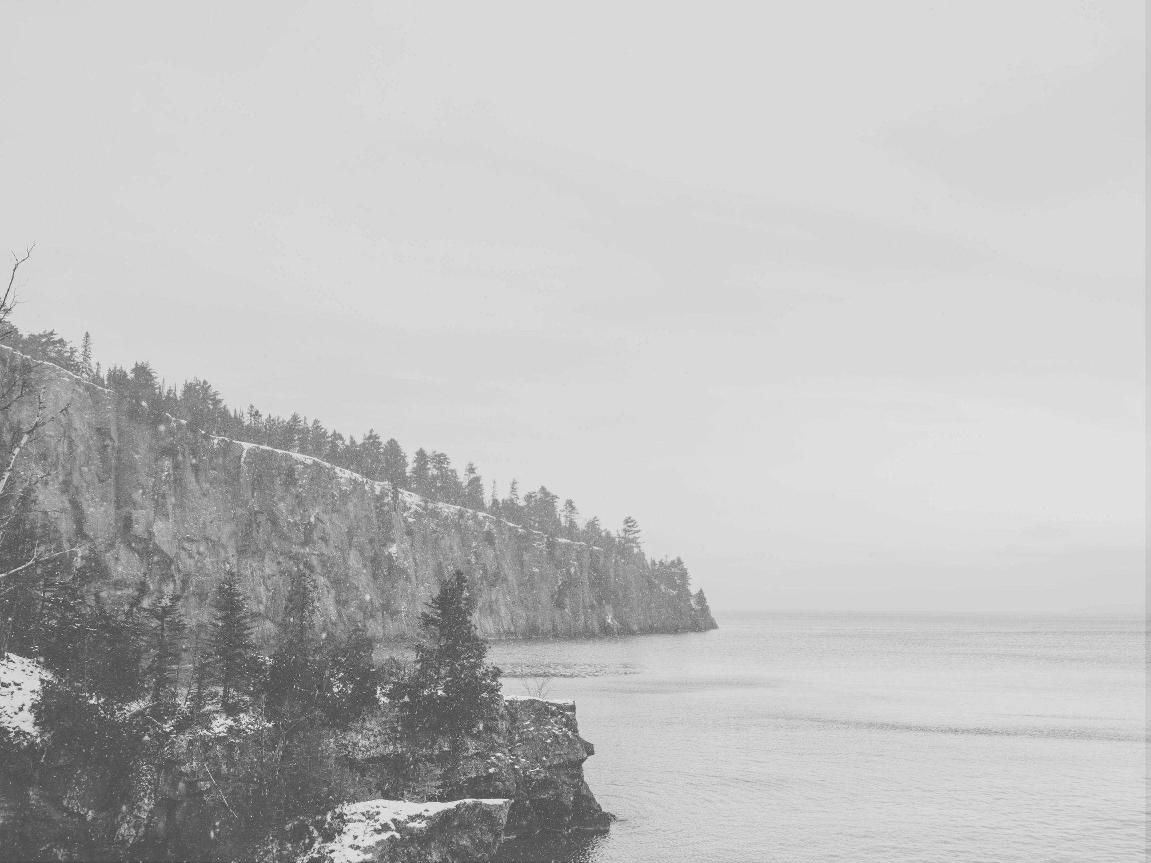 BCPR North Referral Partnership Program