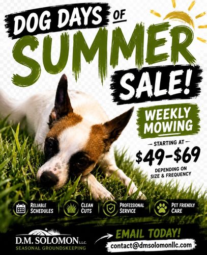 Dog laying on grass. Text offering weekly or bi-weekly lawn mowin services 